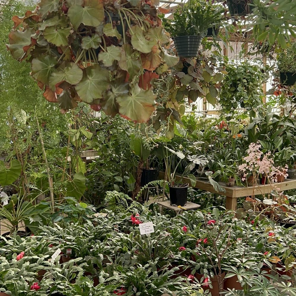 Jarrett's Jungle - Florists Near Me - West Columbia, South Carolina