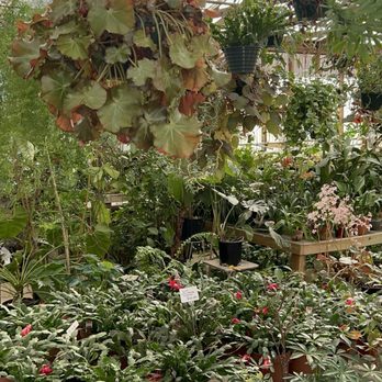 Jarrett's Jungle - Florists Near Me - West Columbia, South Carolina