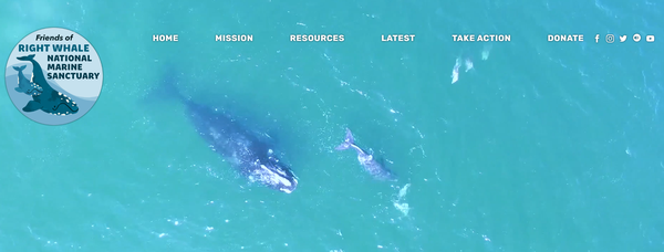 Ocean River Institute by null