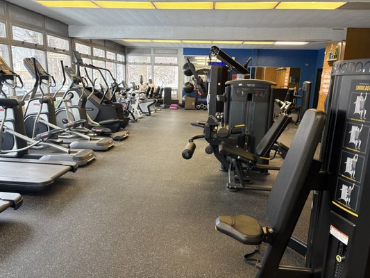 Welles (Gideon) Park by null