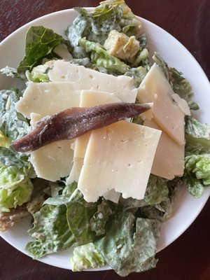 Paddock Club by null