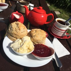 Hele Corn Mill & Tea Room - Cream tea! Freshly baked scones to die for!