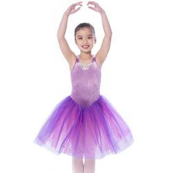 Chicago Ballet Arts