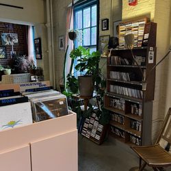 Grapefruit Record Shop - Records, plants, bookshelf