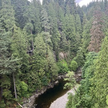 Capilano Suspension Bridge Park - Parks Near Me - North Vancouver, British Columbia