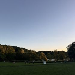 Fresh Pond