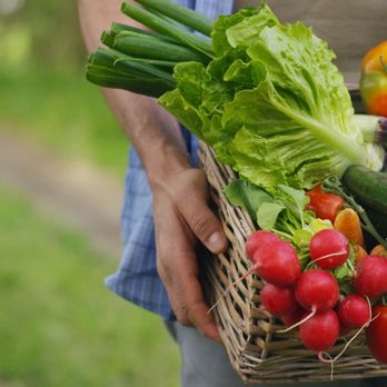 Pueblo Fruits - Fresh Produce - Same Day Delivery or Pickup - Fruits & Veggies Near Me - Albuqerque, New Mexico Pueblo Fruits - Fresh Produce - Same Day Delivery or Pickup - Fruits & Veggies Near Me - Albuqerque, New Mexico
