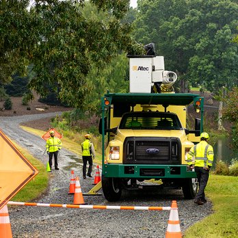 Bartlett Tree Experts - Tree Services Near Me - Nashville, Tennessee Bartlett Tree Experts - Tree Services Near Me - Nashville, Tennessee