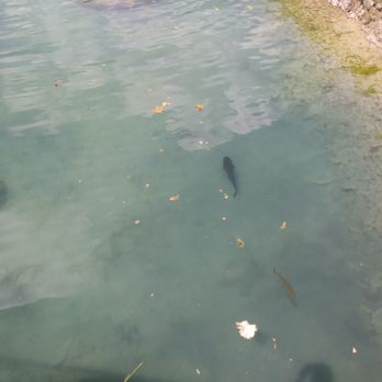 FRP LaGrange Quarry - Catfish and Bass - Water Parks Near Me - La Grange, Kentucky