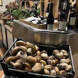 AL Conte Ugolino - In season (late autumn) wild mushrooms (porcini)!