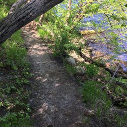 Sakatah Lake State Park - Narrow path sinking.