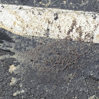 McDonald's - Coffee & grounds poured out of cup. - Fast Food Near Me - Akron, Ohio McDonald's - Coffee & grounds poured out of cup. - Fast Food Near Me - Akron, Ohio