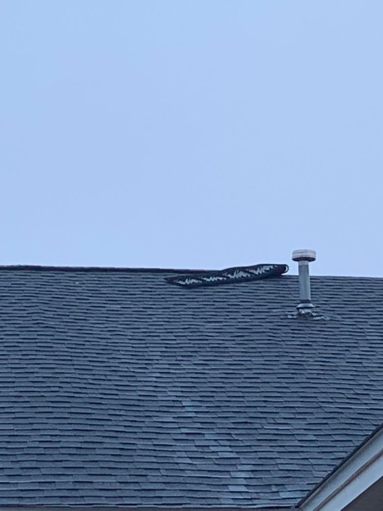 Slide of Royal Roof Repairs