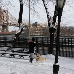 Peter Detmold Park