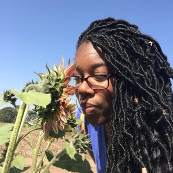Monique's Braids - Hair Extensions Near Me - Los Angeles, California