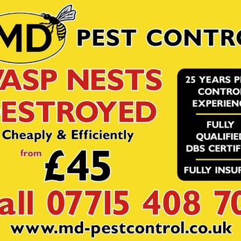 MD Pest Control - Wasp Nest removal 07715408709 - Pest Control Near Me - Barnsley, XSY