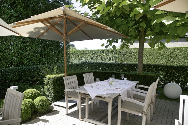 Oya Gastrobar by null