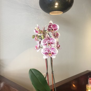 Q Hair - Hair Salons Near Me - New York, New York Q Hair - Hair Salons Near Me - New York, New York