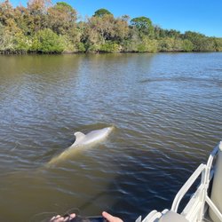 Captain Quinn's Coastal Lagoon Tours