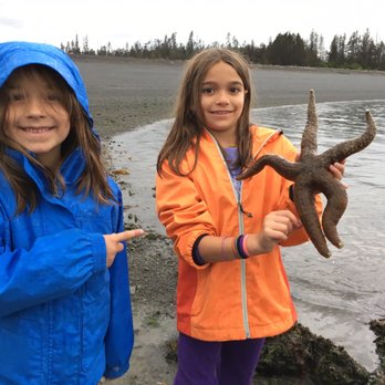 Center For Alaskan Coastal Studies - Hige Seastars! - Tours Near Me - Homer, Alaska Center For Alaskan Coastal Studies - Hige Seastars! - Tours Near Me - Homer, Alaska