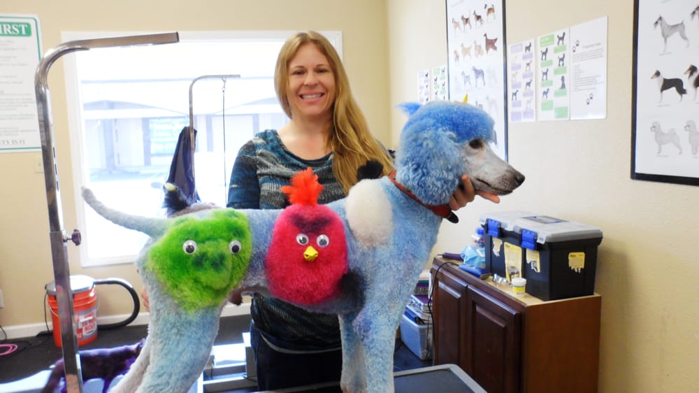 STYLING PET ACADEMY OF THE WEST COAST Updated September 2024 26