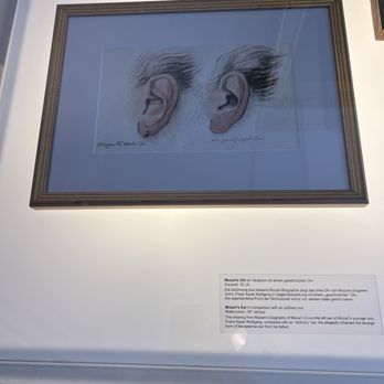 Mozarts Geburtshaus - Museums Near Me - Salzburg, 5