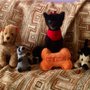 Photo of All Breed Dog Grooming