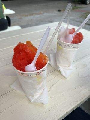 Imperial Woodpecker Sno-Balls by null