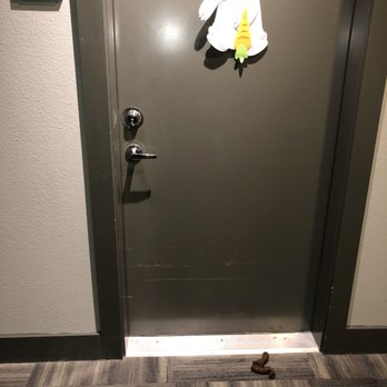 Berkshire Auburn Apartments - Feces in front of unit - Apartments Near Me - Dallas, Texas Berkshire Auburn Apartments - Feces in front of unit - Apartments Near Me - Dallas, Texas