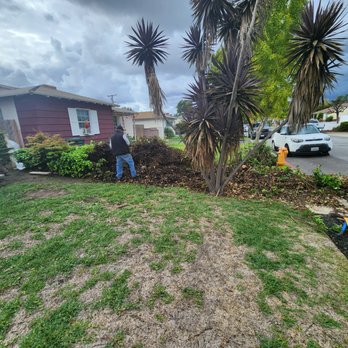 Joel Rodriguez Atomic Duo Tree Service - Tree Services Near Me Joel Rodriguez Atomic Duo Tree Service - Tree Services Near Me