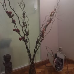 Dra. María Alejandra Bohbouth - Decoración, ponele.