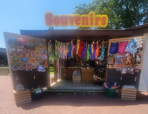 African Lion Safari by null