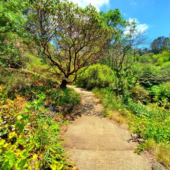 Regional Parks Botanic Garden at Tilden - Trail - Botanical Gardens Near Me - Berkeley, California