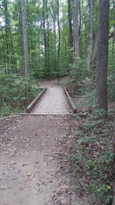 Big Rock Nature Preserve by null
