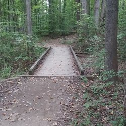 Big Rock Nature Preserve - Foot bridge