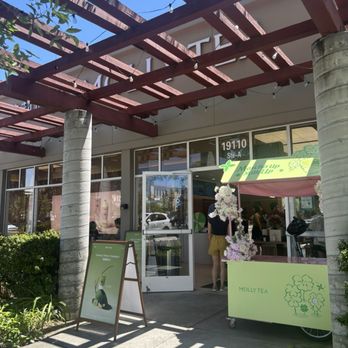 Molly Tea - Outside - Bubble Tea Near Me - Cupertino, California Molly Tea - Outside - Bubble Tea Near Me - Cupertino, California
