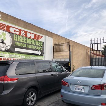 The Plant Chica - Sign to watch out for driving on Jefferson! - Nurseries & Gardening Near Me - leimert park, California The Plant Chica - Sign to watch out for driving on Jefferson! - Nurseries & Gardening Near Me - leimert park, California
