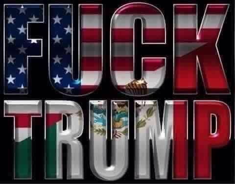 Crazy Gringo Mexican Express by null