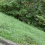 Photo of Root's Landscaping