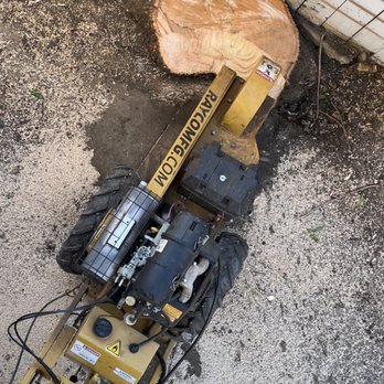Discount Tree Care Arborist - Tree removal and grinding - Tree Services Near Me - Long Beach, California