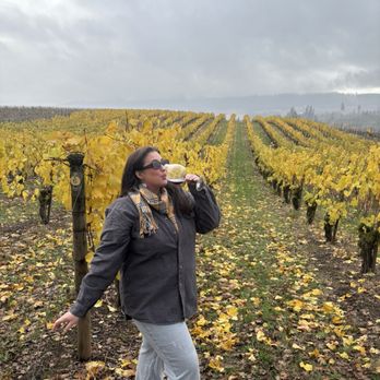 Willamette Valley Vineyards - Tualatin Estate - Enjoying the cool autumn breeze at Willamette Valley's Tualatin Estate Vineyard. Photo was taken in November 2024. - Wineries Near Me - Forest Grove, Oregon Willamette Valley Vineyards - Tualatin Estate - Enjoying the cool autumn breeze at Willamette Valley's Tualatin Estate Vineyard. Photo was taken in November 2024. - Wineries Near Me - Forest Grove, Oregon