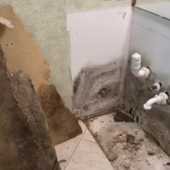 Healthy Building Management - Environmental Testing Near Me Healthy Building Management - Environmental Testing Near Me