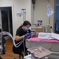 Queen's Park Pet Hospital - Queens Park does Pet Dentistry