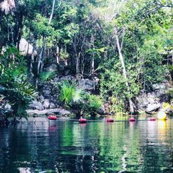 Cenote Yax Kin