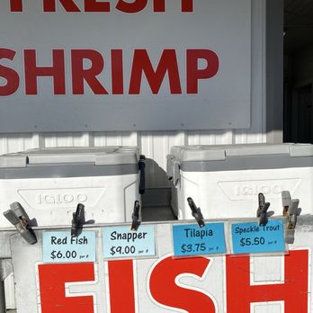 Westwego Shrimp Lot - Variety of fish - Seafood Markets Near Me - Westwego, Louisiana Westwego Shrimp Lot - Variety of fish - Seafood Markets Near Me - Westwego, Louisiana