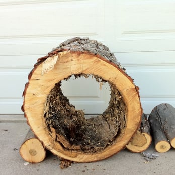 Tree Care by Design - The only challenge is what to do with this incredibly cool piece of wood. - Tree Services Near Me