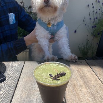 ALTA Bakery & Cafe - Iced coffee with mint basil sauce (seasonal) - Cafes Near Me - Monterey, California