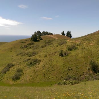 Matt Davis-Steep Ravine Loop - Once you get here, you know you're about halfway to Stinson Beach! - Hiking Near Me - Stinson Beach, California Matt Davis-Steep Ravine Loop - Once you get here, you know you're about halfway to Stinson Beach! - Hiking Near Me - Stinson Beach, California