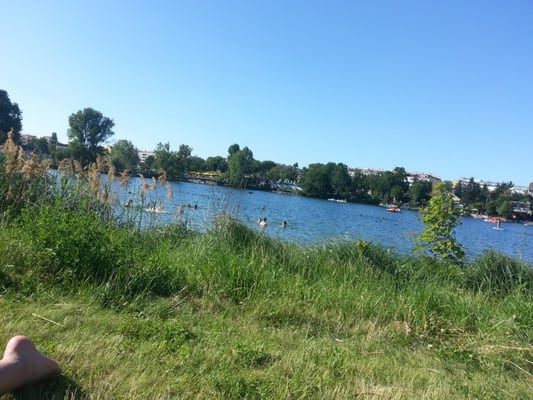 Alte Donau by null