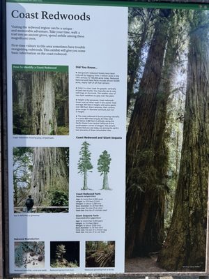 Thomas H. Kuchel Visitor Center by null